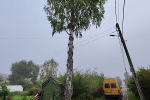 Puukaitse OÜ Haljastustööd