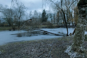Puukaitse OÜ Haljastustööd