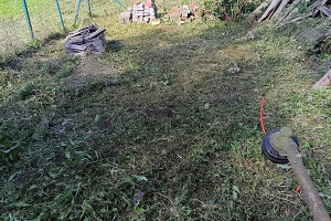 GRÜNE AIANDUS JA METSA HOOLDUS  OÜ Haljastustööd