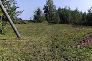 GRÜNE AIANDUS JA METSA HOOLDUS  OÜ Haljastustööd