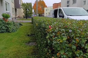 GRÜNE AIANDUS JA METSA HOOLDUS  OÜ Haljastustööd