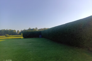 GRÜNE AIANDUS JA METSA HOOLDUS  OÜ Haljastustööd