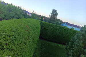 GRÜNE AIANDUS JA METSA HOOLDUS  OÜ Haljastustööd