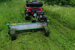 GRÜNE AIANDUS JA METSA HOOLDUS  OÜ Haljastustööd