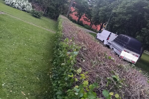 GRÜNE AIANDUS JA METSA HOOLDUS  OÜ Haljastustööd