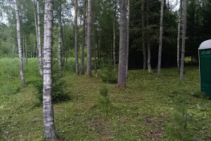 GRÜNE AIANDUS JA METSA HOOLDUS  OÜ Haljastustööd