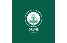 GRÜNE AIANDUS JA METSA HOOLDUS  OÜ logo