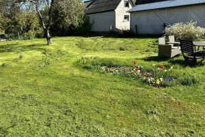 IBRK TEENUSED OÜ Haljastustööd