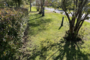 IBRK TEENUSED OÜ Haljastustööd