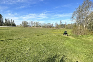 IBRK TEENUSED OÜ Haljastustööd