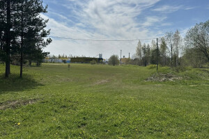 IBRK TEENUSED OÜ Haljastustööd