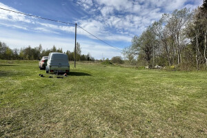 IBRK TEENUSED OÜ Haljastustööd