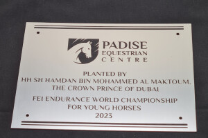 Laseriga OÜ Puusepatööd