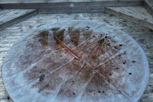 Harjuready OÜ Puhastusteenused