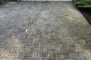 Harjuready OÜ Puhastusteenused