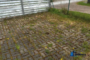 Harjuready OÜ Puhastusteenused