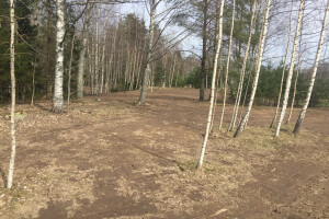 TOOTSITASKU UÜ Pinnasetööd