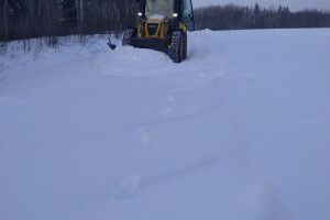 Puiduhunt OÜ Puhastusteenused