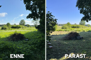 KODUSED AIAD OÜ Haljastustööd