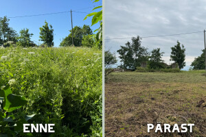 KODUSED AIAD OÜ Haljastustööd