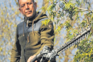 JAAK TOMSONI LILLESTUUDIO OÜ Haljastustööd