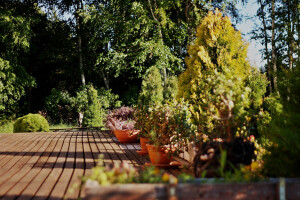 JAAK TOMSONI LILLESTUUDIO OÜ Haljastustööd