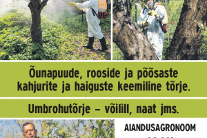 JAAK TOMSONI LILLESTUUDIO OÜ Haljastustööd