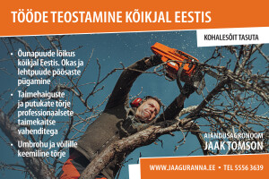 JAAK TOMSONI LILLESTUUDIO OÜ Haljastustööd