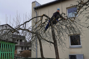 HANAMI OÜ Haljastustööd