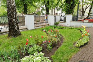 HANAMI OÜ Haljastustööd