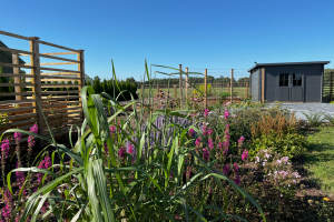 HANAMI OÜ Haljastustööd