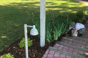 HANAMI OÜ Haljastustööd