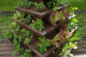 HANAMI OÜ Puitehitised