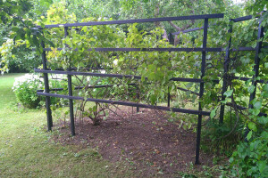 HANAMI OÜ Puitehitised