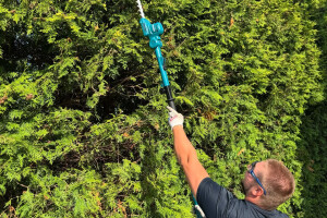 EDENA FORWARDING OÜ Haljastustööd