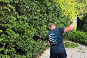 EDENA FORWARDING OÜ Haljastustööd