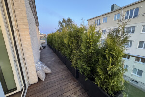 EDENA FORWARDING OÜ Haljastustööd