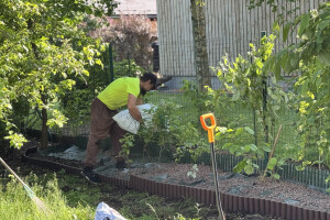 EDENA FORWARDING OÜ Haljastustööd