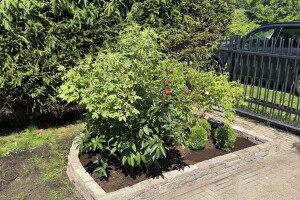 EDENA FORWARDING OÜ Haljastustööd