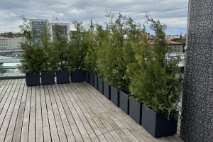 EDENA FORWARDING OÜ Haljastustööd