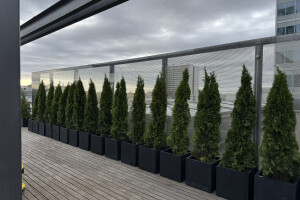 EDENA FORWARDING OÜ Haljastustööd