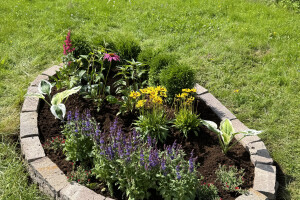 EDENA FORWARDING OÜ Haljastustööd