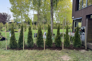 EDENA FORWARDING OÜ Haljastustööd