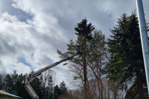 RAE ARBORIST OÜ Haljastustööd