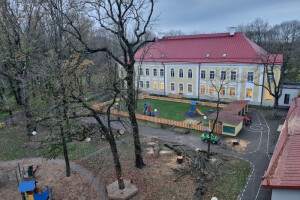RAE ARBORIST OÜ Haljastustööd