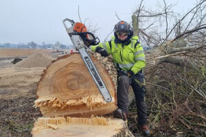 RAE ARBORIST OÜ Haljastustööd