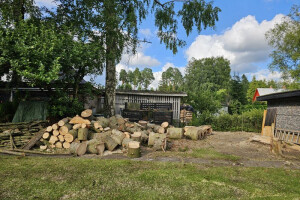 RAE ARBORIST OÜ Haljastustööd