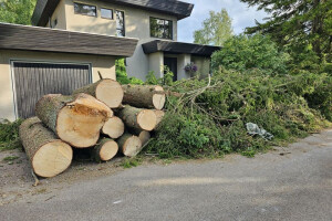 RAE ARBORIST OÜ Haljastustööd