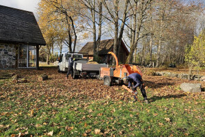 RAE ARBORIST OÜ Haljastustööd