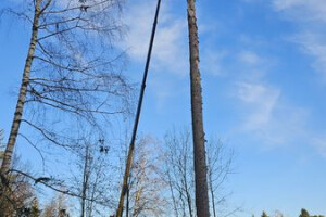 RAE ARBORIST OÜ Haljastustööd